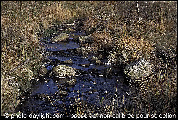 les Hautes Fagnes